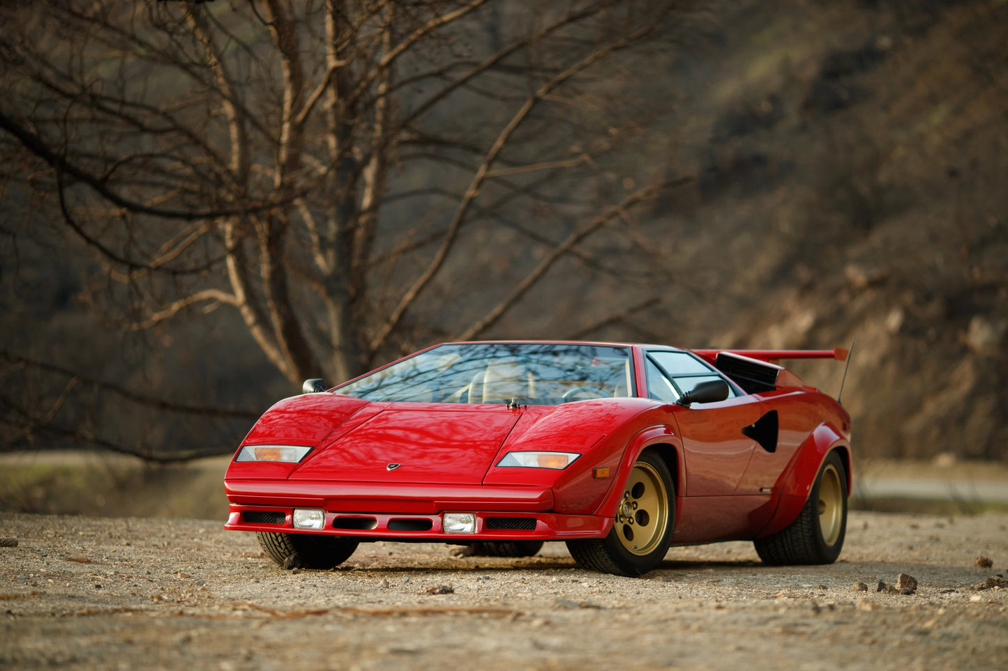 Matt Farah Lamborghini Countach Snake Malibu